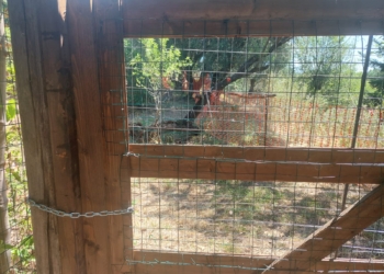 Recinzione Pietralata - Photo by A. Di Francesco